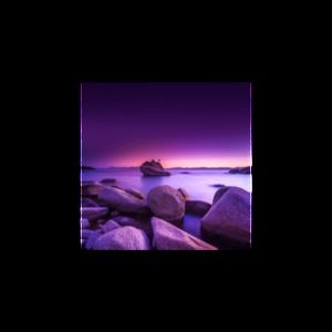 Meet your Posher, Judy